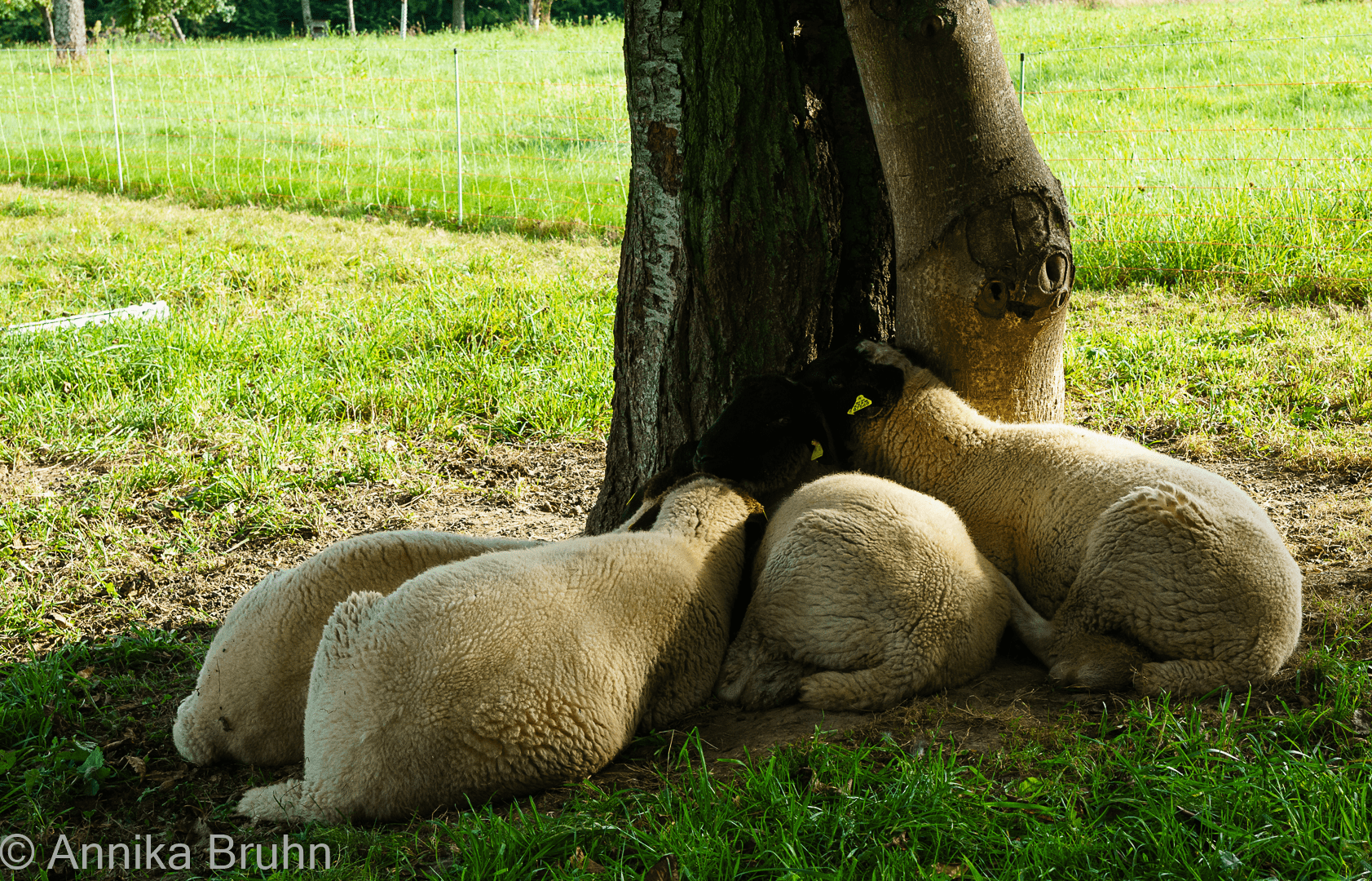 Kuschelzeit!