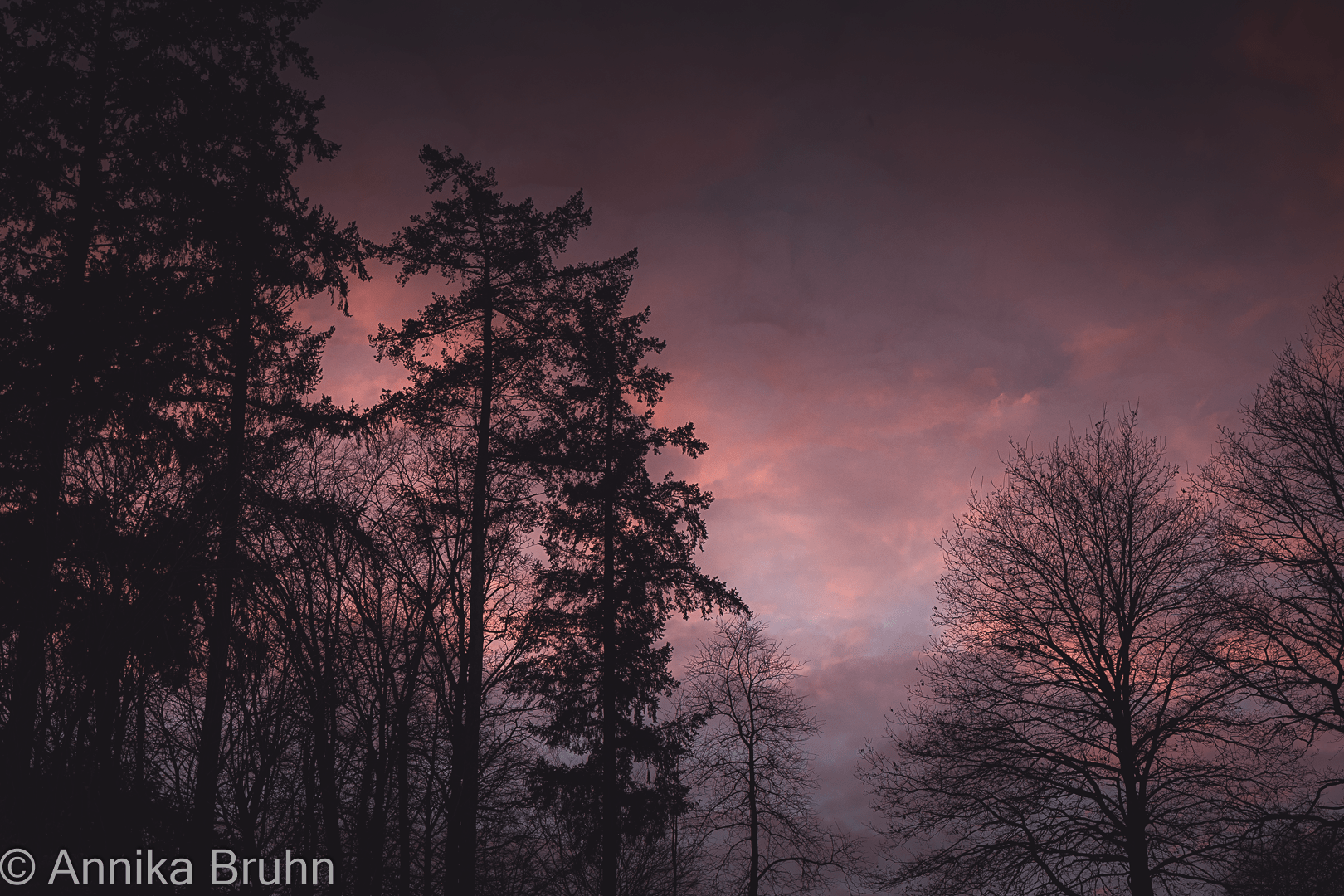 Abendstimmung!