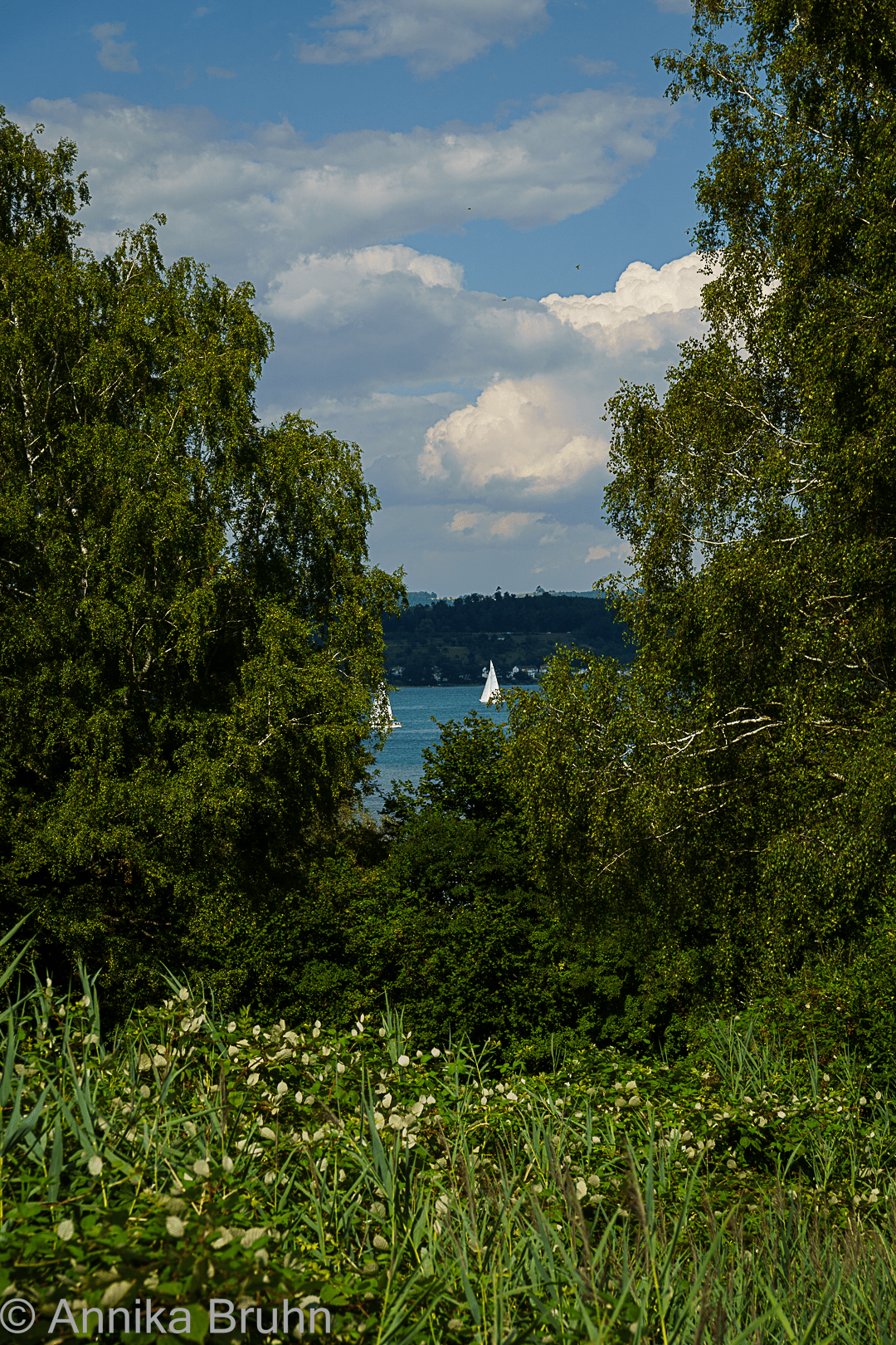 Bodensee!