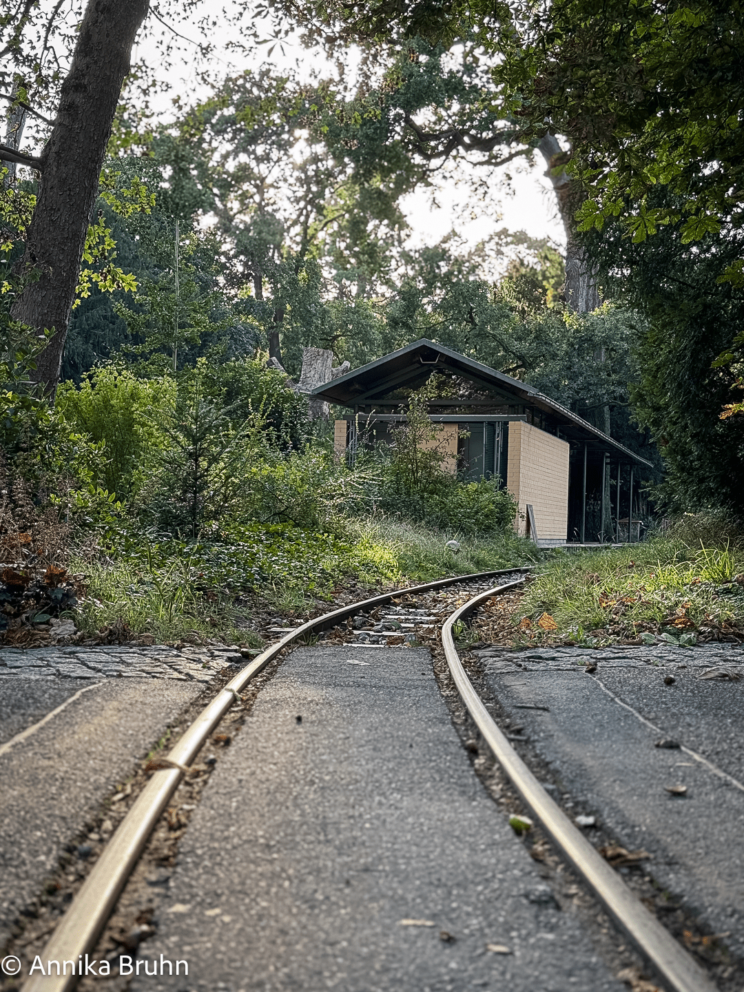 Bimmelbahnschienen