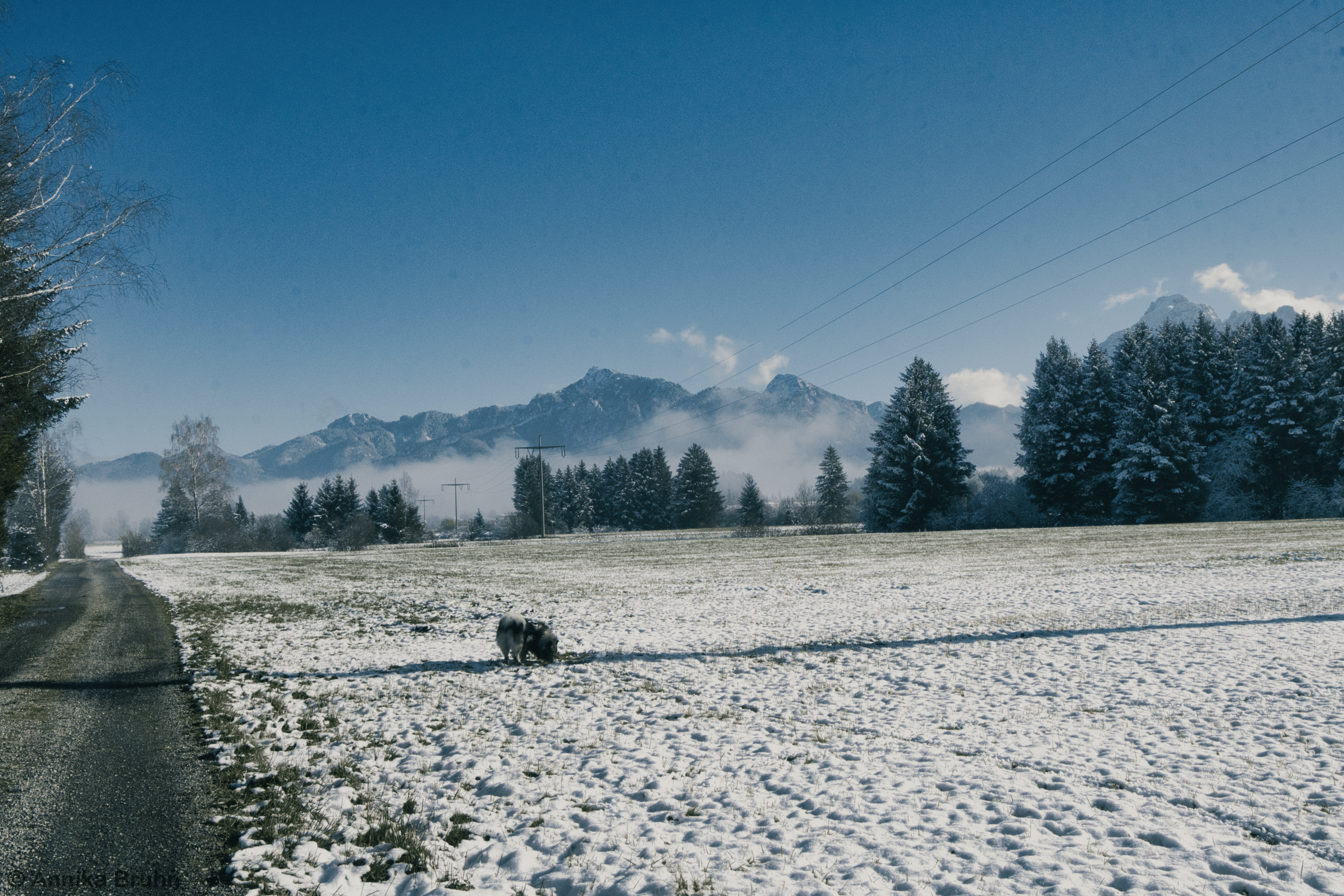 Schneespaziergang