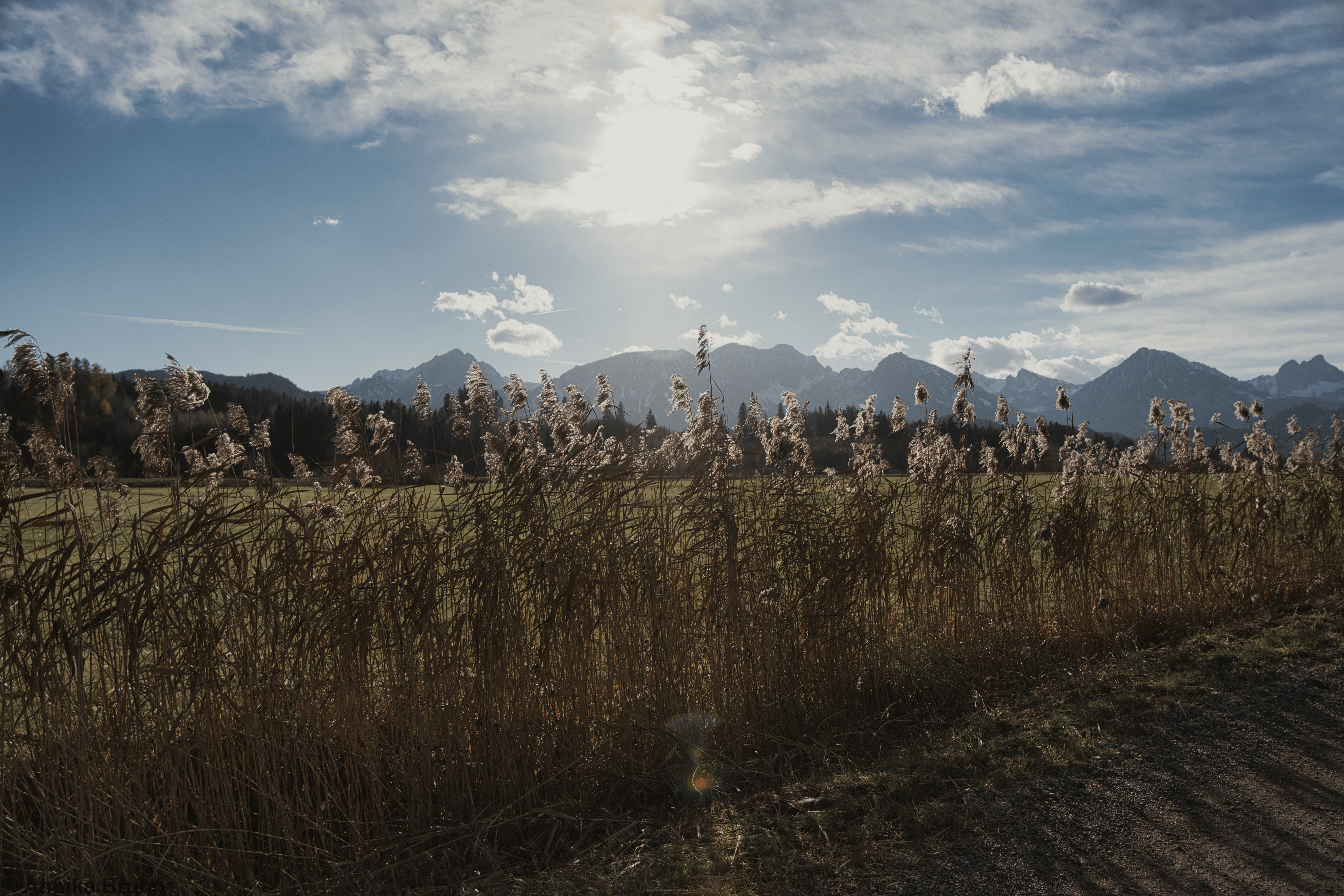 Sonnentag