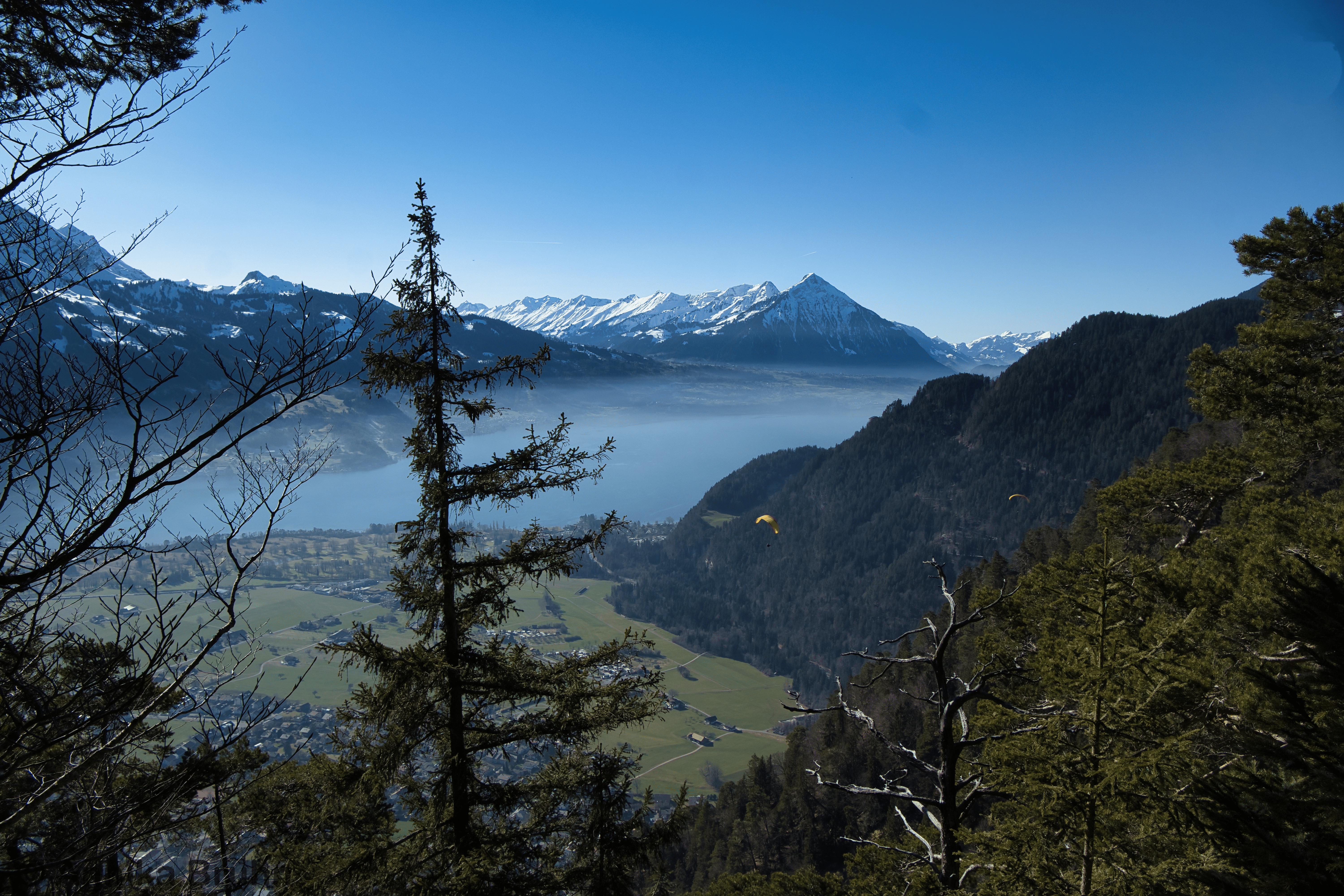 Thunersee