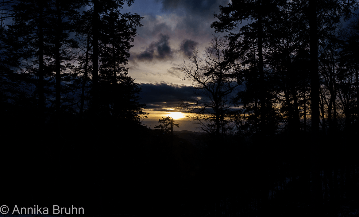 Sonnenuntergang am Zieflesberg