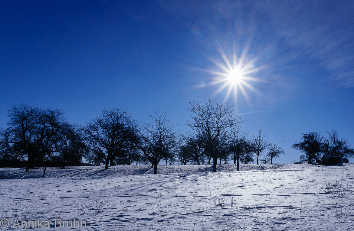 Sonnenstern mit Schneelandschaft